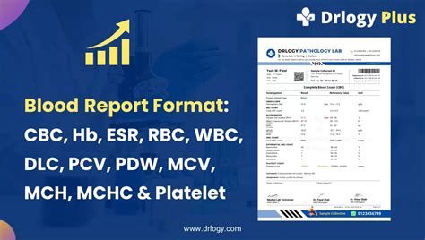Blood Report Format: CBC, Hb, ESR, RBC, WBC, PCV & PDF.